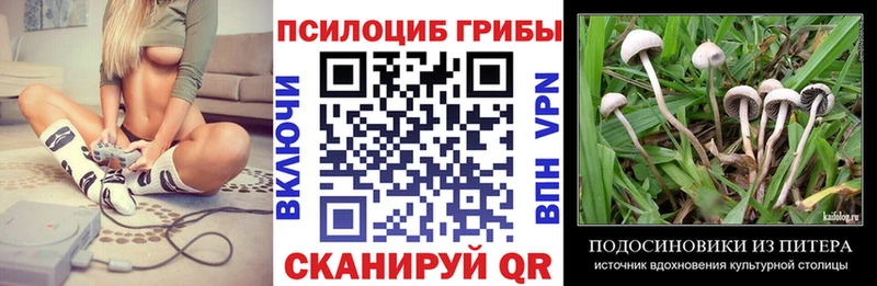 Галлюциногенные грибы Psilocybine cubensis  Курлово 